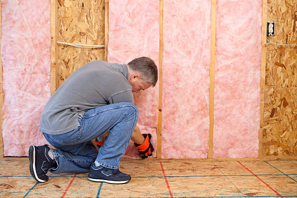 Best Cellulose Insulation in New Albany, IN